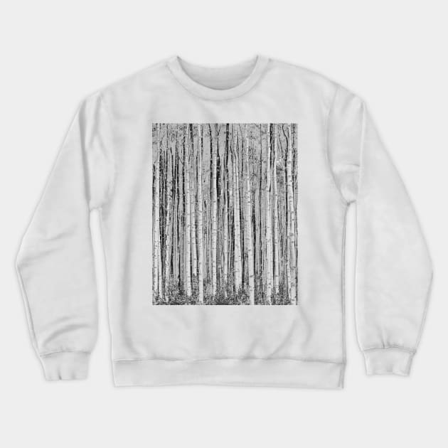 aspen lines Crewneck Sweatshirt by pholange